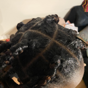 Big Braids (20")
